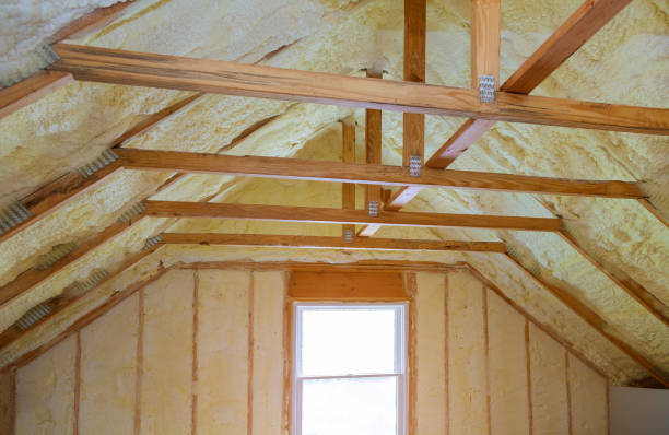 Best Insulation Inspection Services  in Newport, KY