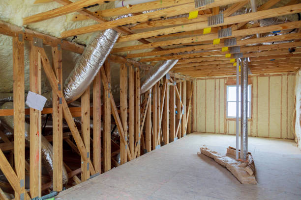 Professional Insulation Contractor in Newport, KY
