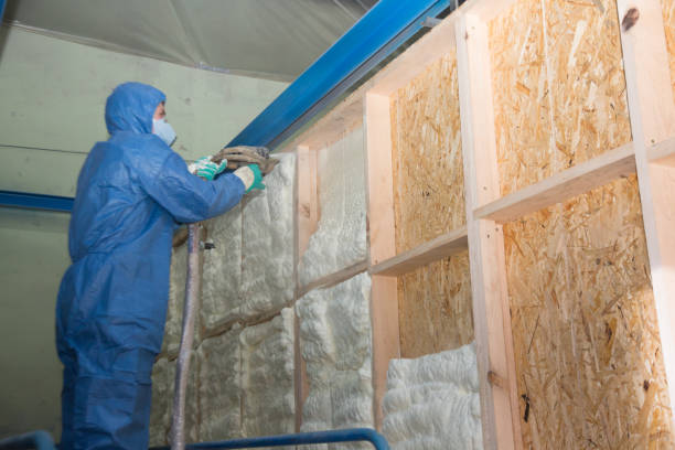 Best Insulation Repair Services  in Newport, KY